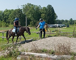 Being Ponied Blindfolded