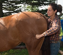 Massage and Stretching