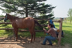 Massage and Stretching