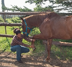 Massage and Stretching