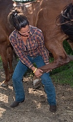 Massage and Stretching