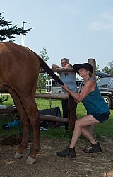 Massage and Stretching