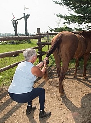 Massage and Stretching