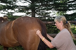 Massage and Stretching
