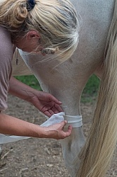 Leg Bandage, How to Keep in Place