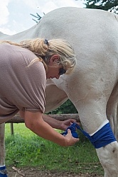 Leg Bandage, How to Keep in Place