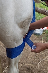 Leg Bandage, How to Keep in Place