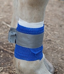 Leg Bandage, Marked to Check for Swelling