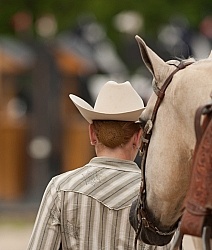Horse Show Hair