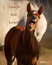 Inspirational Series