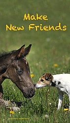 Make New Friends  Inspirational Series