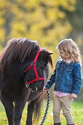 Girl with Miniature Horse