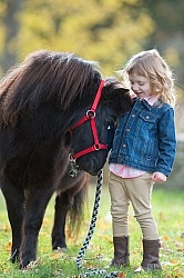 Girl with Miniature Horse