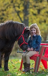 Girl with Miniature Horse