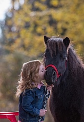 Girl with Miniature Horse