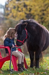 Girl with Miniature Horse