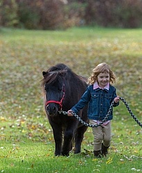 Girl with Miniature Horse