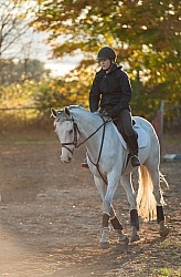 Schooling English on the Flat Thoroughbred Schooling