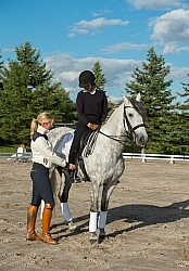 Dressage Instruction