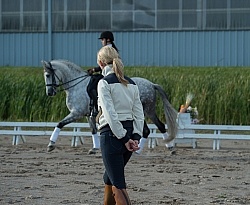 Dressage Instructor