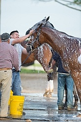 Bath Time at Keeneland, KY