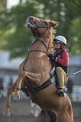 Misbehaving at the Track