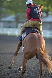 Misbehaving at the Track