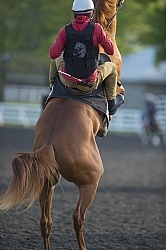 Misbehaving at the Track