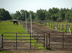 Gates and Gate Latches