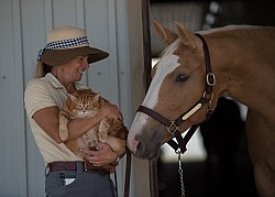 Horse and Human Bond
