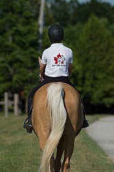 Kids Riding Dressage