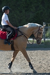 Kids Riding Dressage