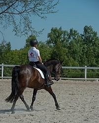 Kids Riding Dressage