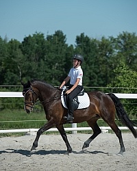 Kids Riding Dressage