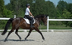 Kids Riding Dressage