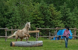 Extreme Country Cowboy Challenge