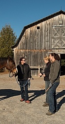 Vet and Farrier Consult