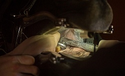 Equine Dentistry - Teeth Flaoting