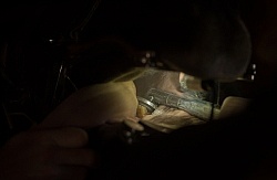 Equine Dentistry - Teeth Flaoting