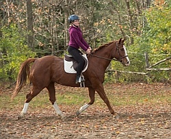 Youth Riding the Trot