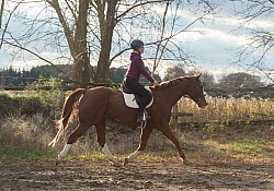 Youth Riding the Trot