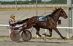 Standardbred Racing