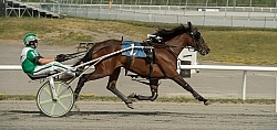 Standardbred Racing