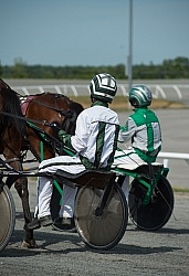 Standardbred Racing