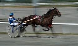 Standardbred Racing