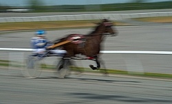 Standardbred Racing