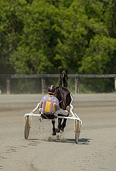 Standardbred Racing