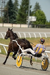 Standardbred Racing