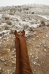 Trail Riding Winter Lazy C U Ranch