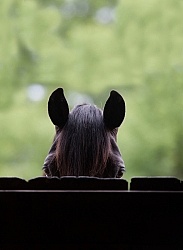 Canadian Canadian Portrait